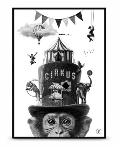 Cirkus